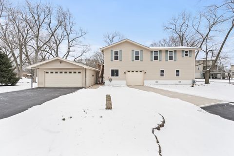Photo of 26033 W Catfish Drive, Wilmington, IL 60481 (MLS # 12556646)