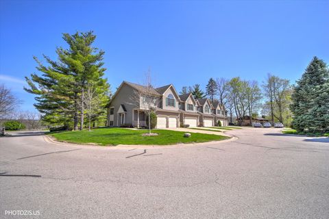 Tiny photo for 102 River Bluff Court, Carpentersville, IL 60110 (MLS # 12624528)