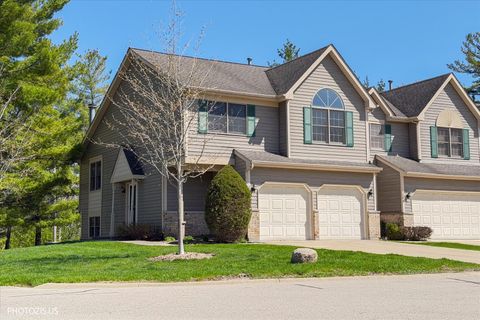 Photo of 102 River Bluff Court, Carpentersville, IL 60110 (MLS # 12624528)