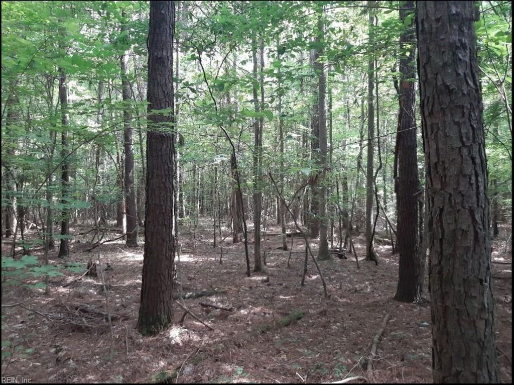 Photo of 6664 Blackwater Road, Virginia Beach, VA 23457 (MLS # 10603351)