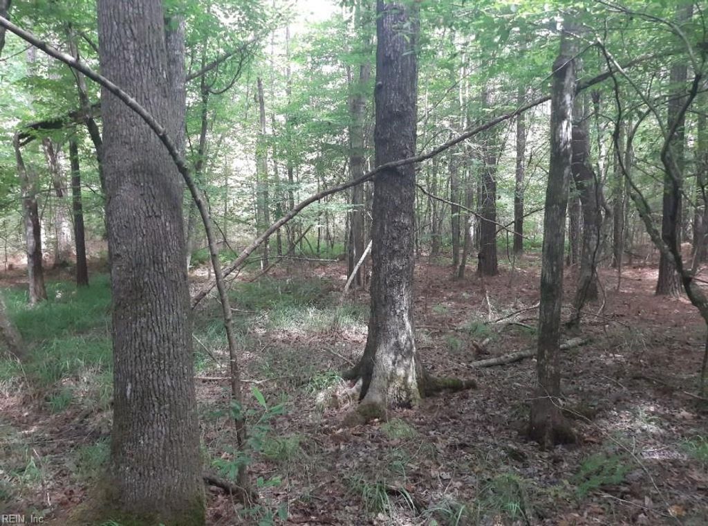 Photo of 6664 Blackwater Road, Virginia Beach, VA 23457 (MLS # 10603351)