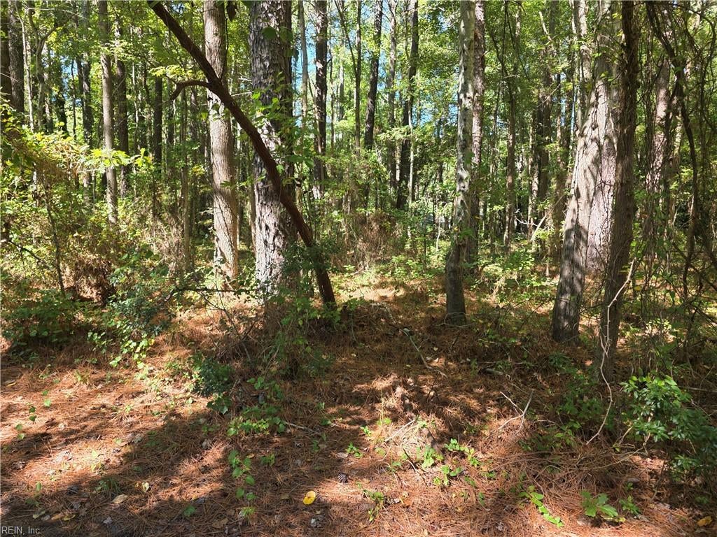 Photo of 00 Mobjack Lane, Hayes, VA 23072 (MLS # 10656731)