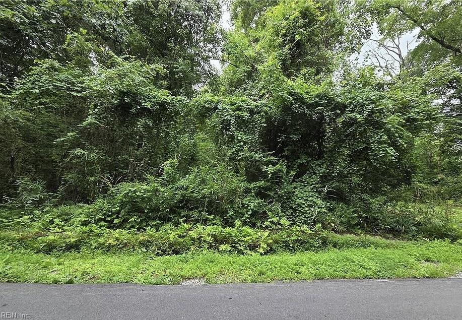 Photo of 4810 Mineral Spring Road, Suffolk, VA 23438 (MLS # 10657609)