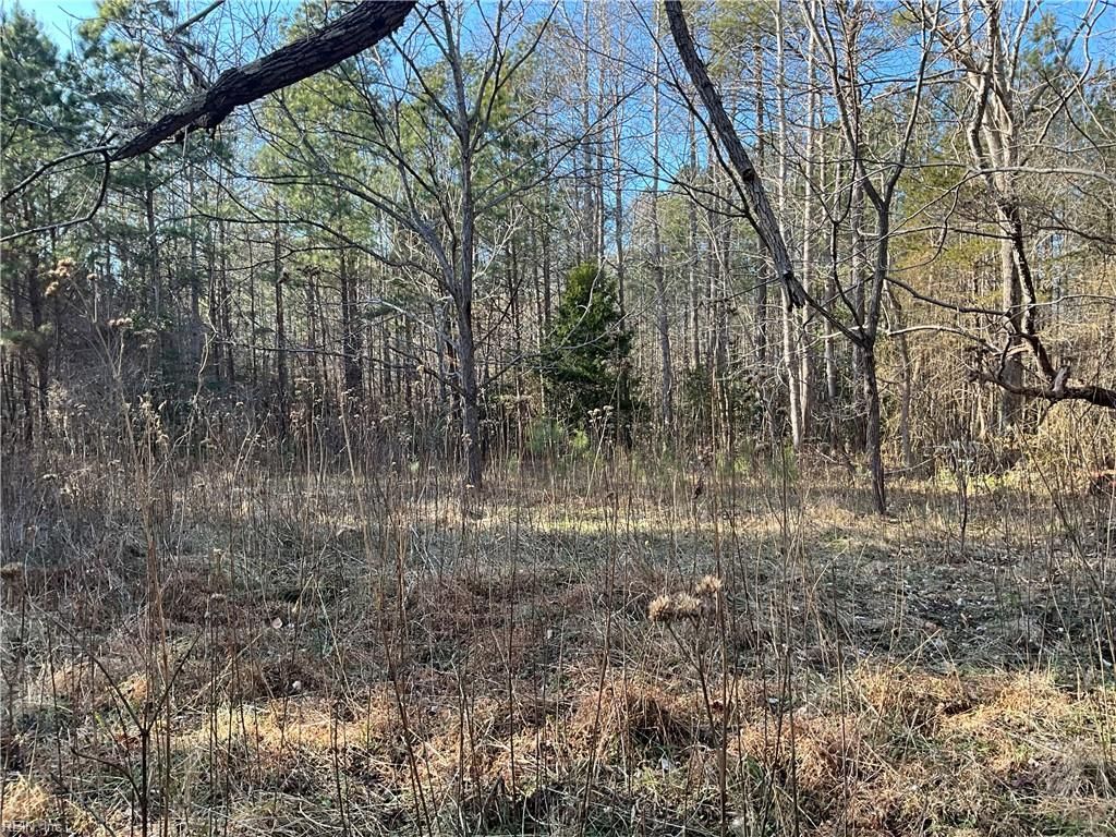 Photo of 17.4AC Salem Wood Road, Gloucester, VA 23061 (MLS # 10614086)