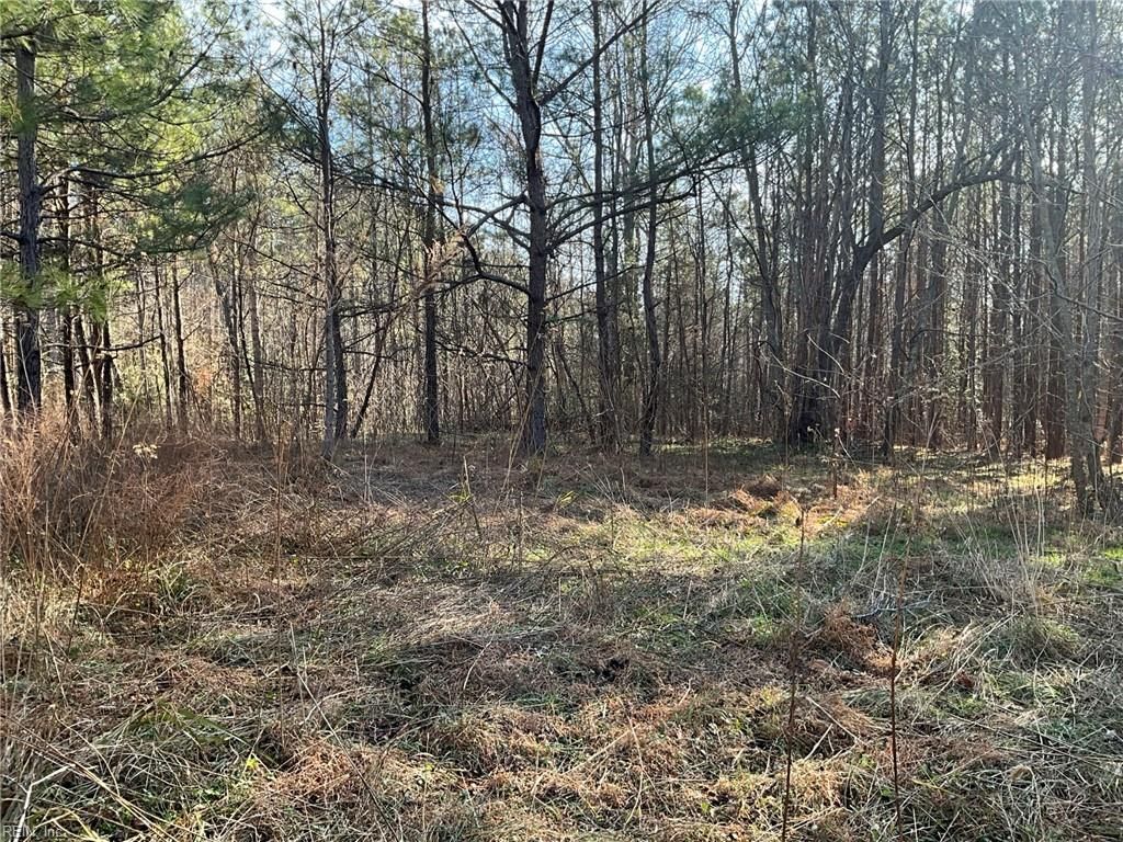 Photo of 17.4AC Salem Wood Road, Gloucester, VA 23061 (MLS # 10614086)