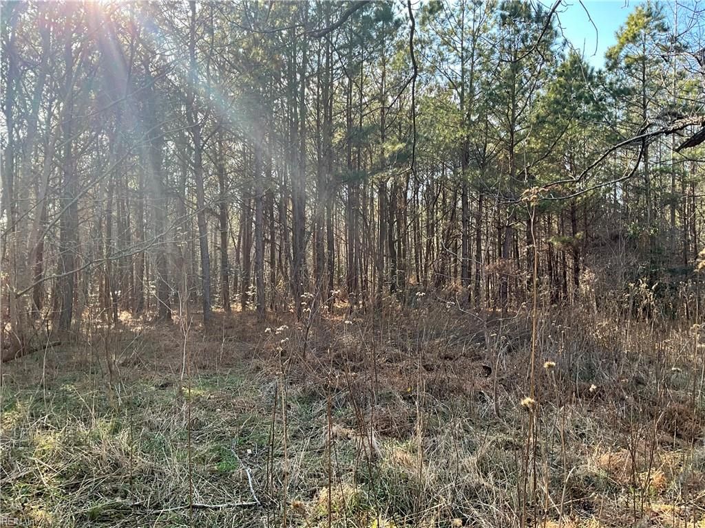 Photo of 17.4AC Salem Wood Road, Gloucester, VA 23061 (MLS # 10614086)