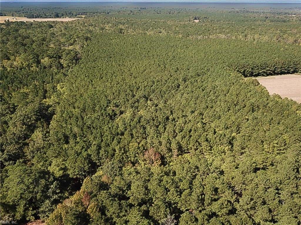 Photo of 15 Acres Cypress Chapel Road, Suffolk, VA 23434 (MLS # 10649262)