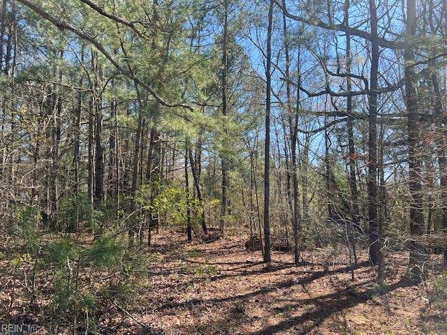 Photo of 00 Carsley Road, Waverly, VA 23890 (MLS # 10648285)