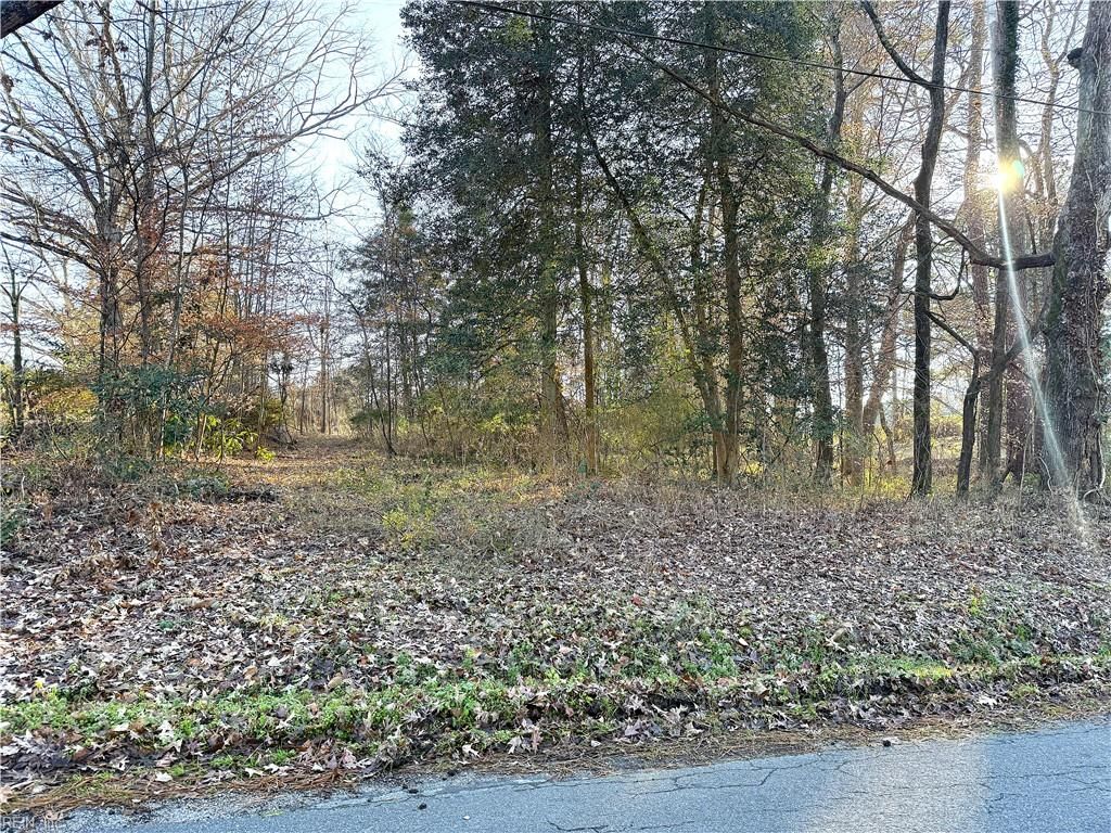 Photo of 2 Ac Maple Avenue, Sedley, VA 23878 (MLS # 10612708)