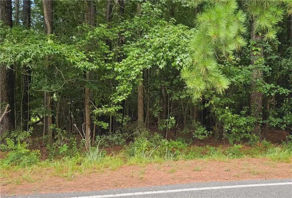 Carrollton, Virginia 23314, United States, ,Land,Active,195039