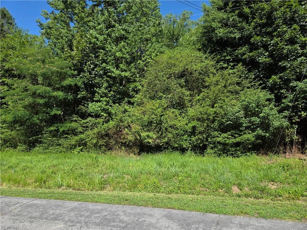 Photo of Lot 2 Branch Bridge Street, Branchville, VA 23828 (MLS # 10641292)