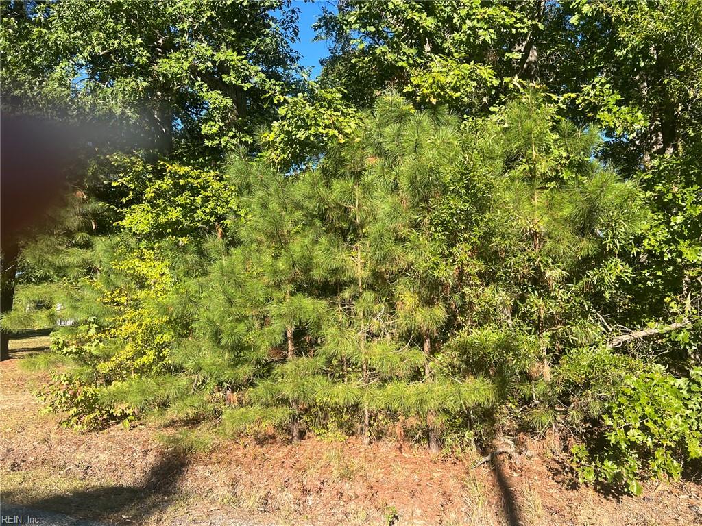 Photo of 13199 Whitehead Road, Branchville, VA 23828 (MLS # 10660116)
