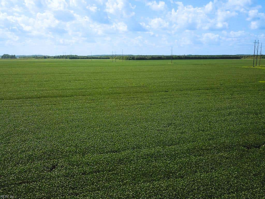 Photo of 11.8 Acres Ballahck Road, Chesapeake, VA 23322 (MLS # 10650830)