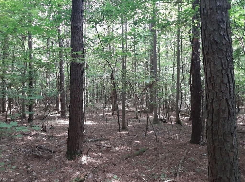Photo of 6664 Blackwater Road, Virginia Beach, VA 23457 (MLS # 10656137)