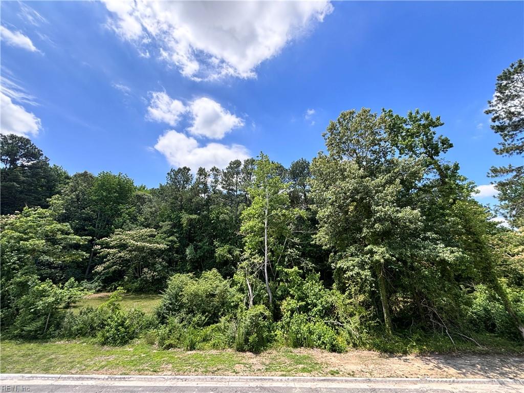 Photo of 124 Lenas Way Way, Chesapeake, VA 23320 (MLS # 10658564)