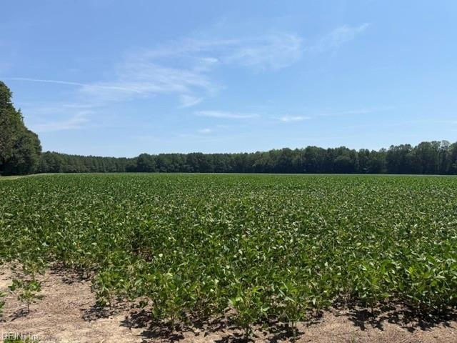Photo of 172 AC Georgetown Road, Waverly, VA 23890 (MLS # 10652601)
