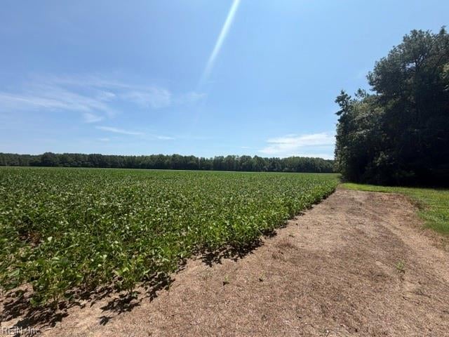 Photo of 172 AC Georgetown Road, Waverly, VA 23890 (MLS # 10652601)