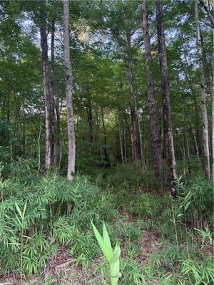 TUCK ST, CHESAPEAKE, VA 23322 - Image 22fa5edfe920ed8bf94d40ba42bd4ca1/912064111