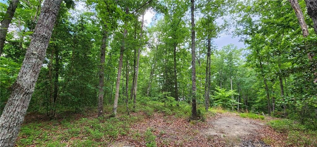 Photo of 29 A Arminta Lane, Lanexa, VA 23089 (MLS # 10635191)