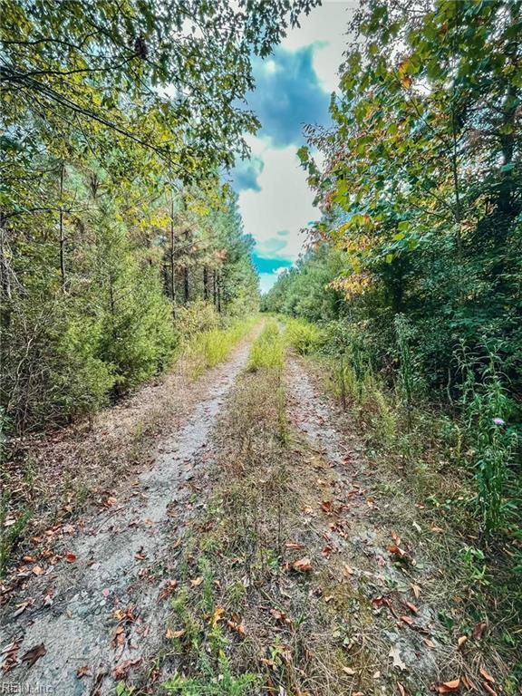 20 Brewers Neck BLVD