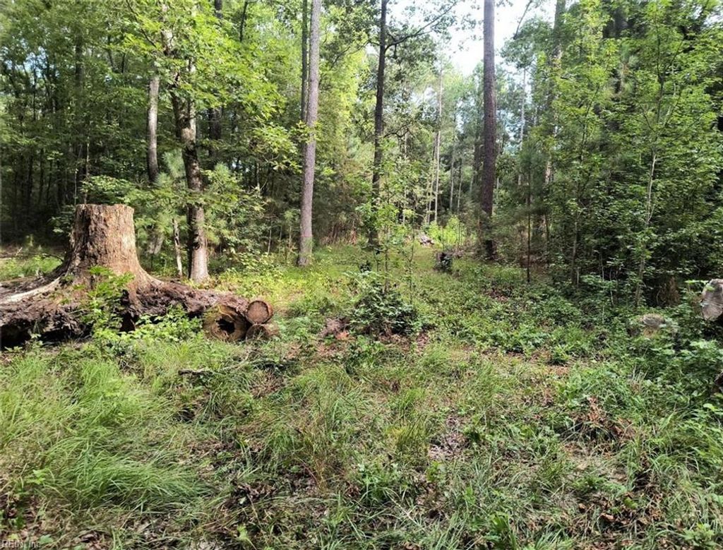 Photo of 1.4+AC Ernest Lane, Hayes, VA 23072 (MLS # 10612871)