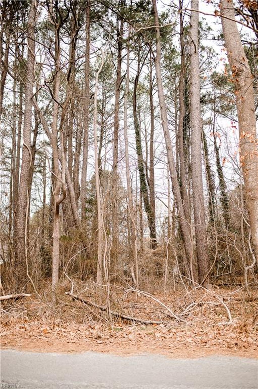 Photo of 00 Riverside Drive, Lanexa, VA 23089 (MLS # 10623174)