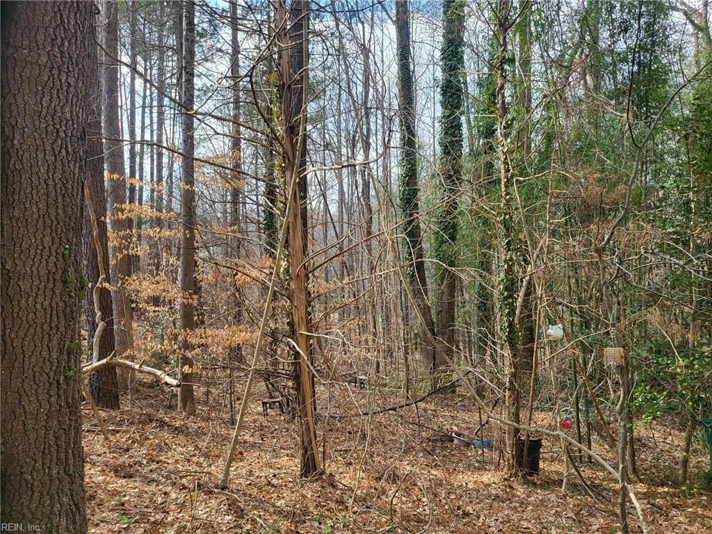 Photo of 4712 Monaco Drive, Sandston, VA 23150 (MLS # 10624097)