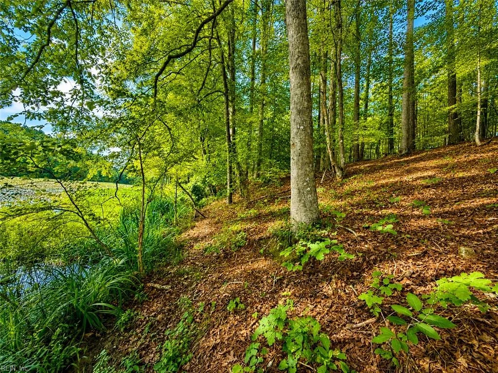 LOT 5 Birdsong Road, Ebony, VA, 23845