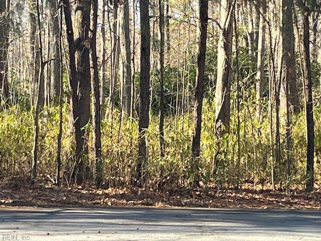 Photo of Lot 4 Kentucky Trail, Chesapeake, VA 23322 (MLS # 10608644)