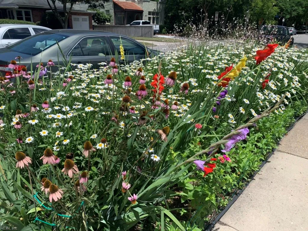 Norfolk, Virginia 23507, United States, 3 Bedrooms Bedrooms, ,2 BathroomsBathrooms,Residential,Active,85104