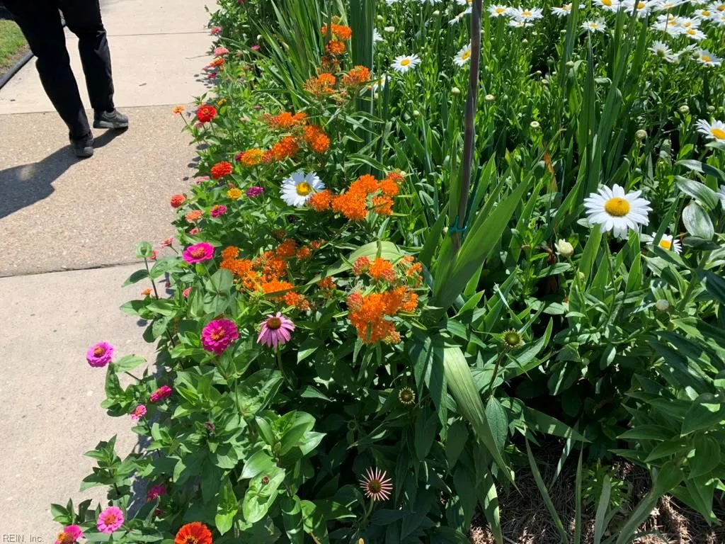 Norfolk, Virginia 23507, United States, 3 Bedrooms Bedrooms, ,2 BathroomsBathrooms,Residential,Active,85104