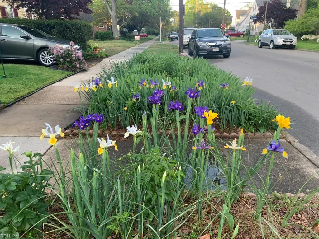 Norfolk, Virginia 23507, United States, 3 Bedrooms Bedrooms, ,2 BathroomsBathrooms,Residential,Active,85104