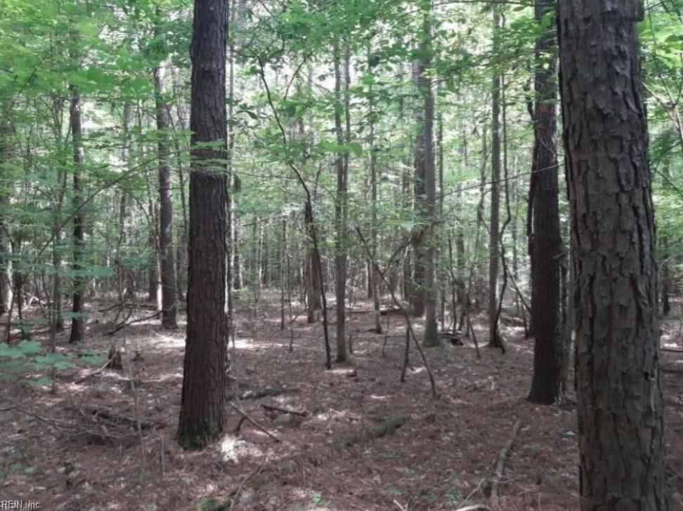 Photo of 6636 Blackwater Road, Virginia Beach, VA 23457 (MLS # 10654730)