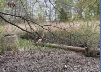 Portsmouth, Virginia 23703, United States, ,Land,Active,240677