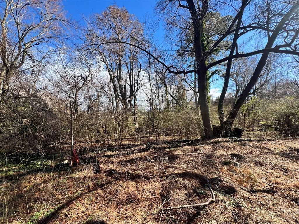 Photo of Lot 18 Douglas Avenue, Chesapeake, VA 23323 (MLS # 10623915)