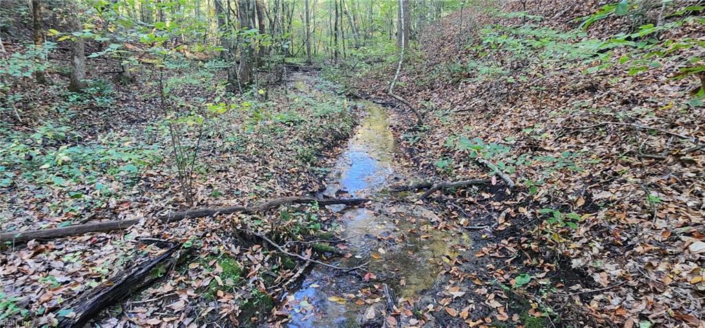 16.4ac Plainview DR