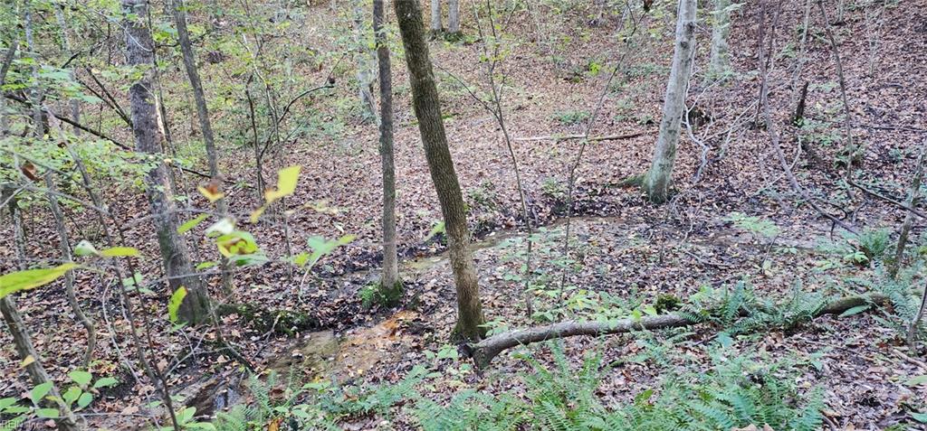 16.4ac Plainview DR