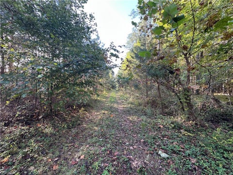 Photo for 16.4ac Plainview DR
