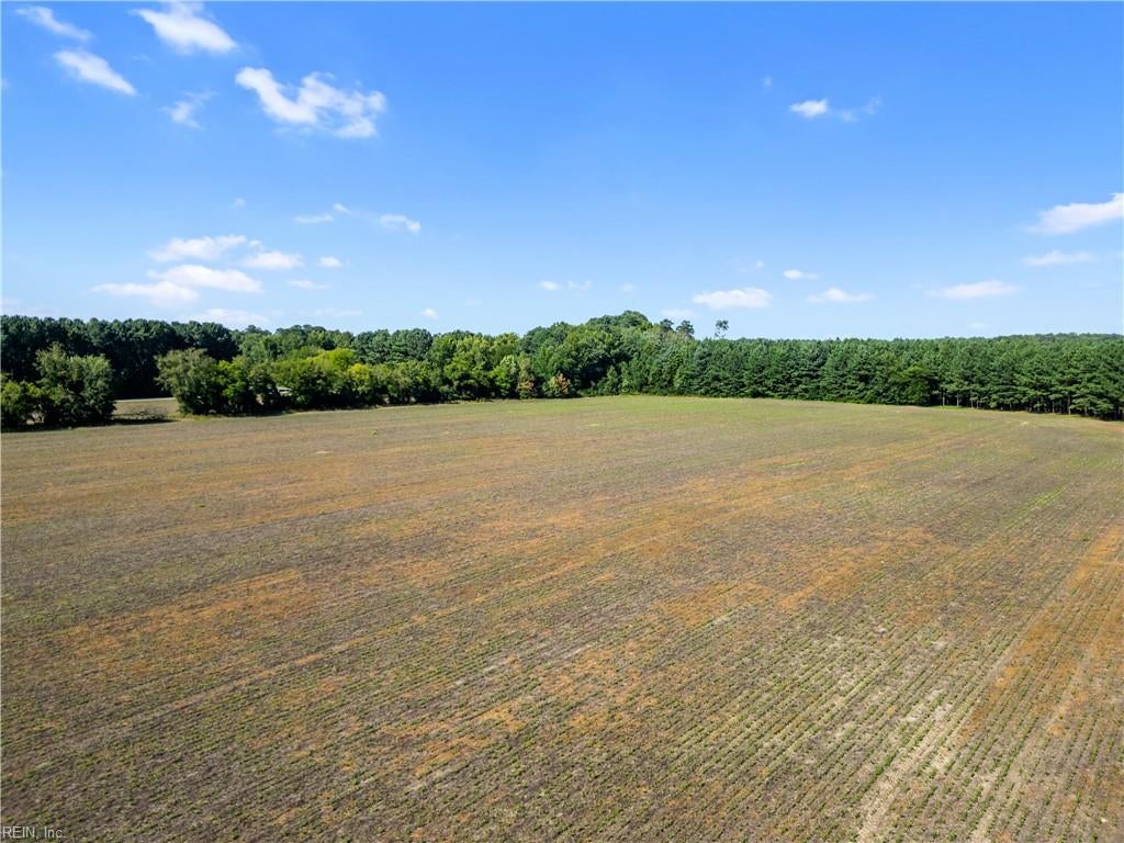 Photo of 55 Ac Vellines Lane, Carrollton, VA 23314 (MLS # 10649330)