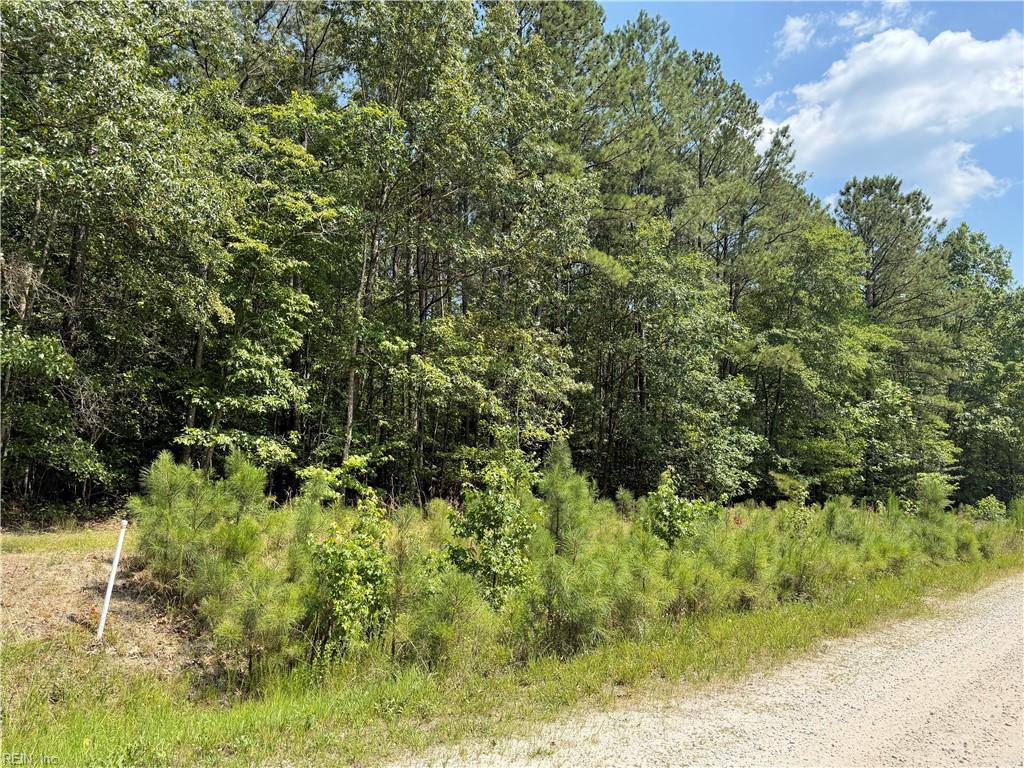 14 Fox Chase Drive, Dendron, VA, 23839