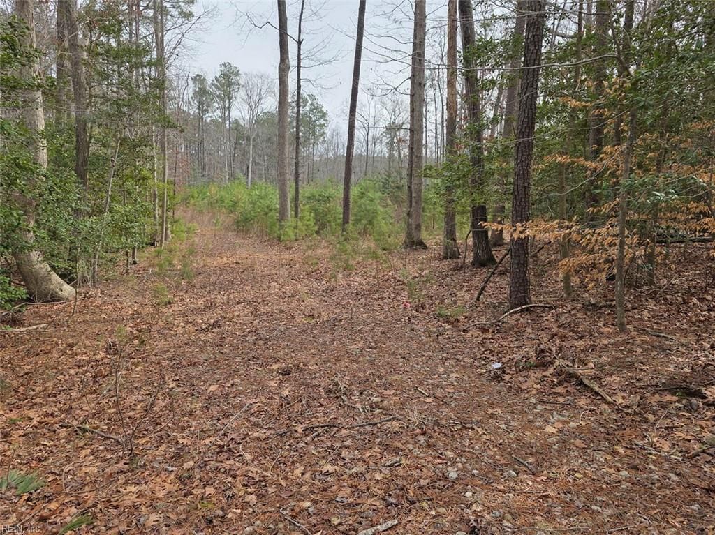 Photo of 3.1+AC Buckskin Trl Trail, Gloucester, VA 23061 (MLS # 10622800)