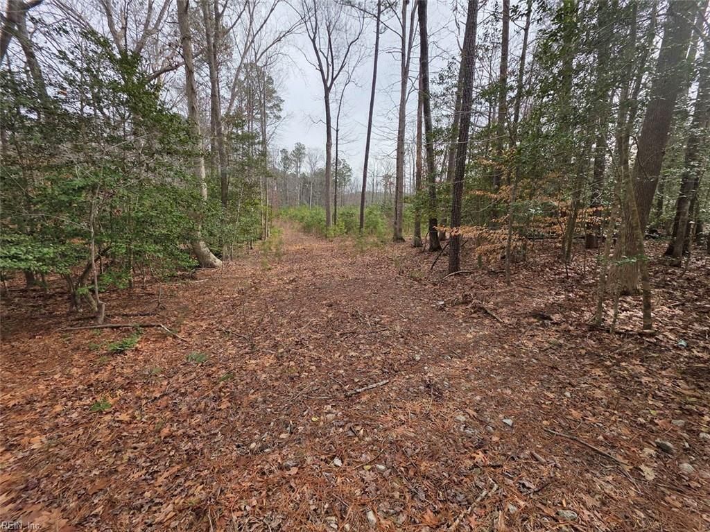 Photo of 3.1+AC Buckskin Trl Trail, Gloucester, VA 23061 (MLS # 10622800)