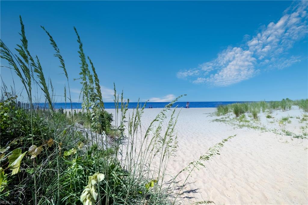 Photo of 3756 Surry Road, Virginia Beach, VA 23455 (MLS # 10650065)