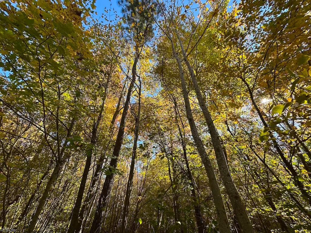 Photo of 467AC Baum Road, Virginia Beach, VA 23457 (MLS # 10609173)