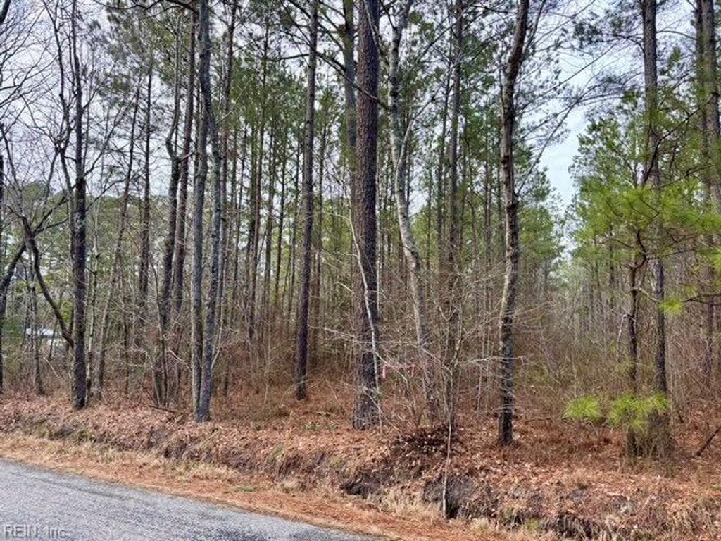 Photo of 108 AC New &amp; Seacock Chapel Road, Ivor, VA 23866 (MLS # 10623584)