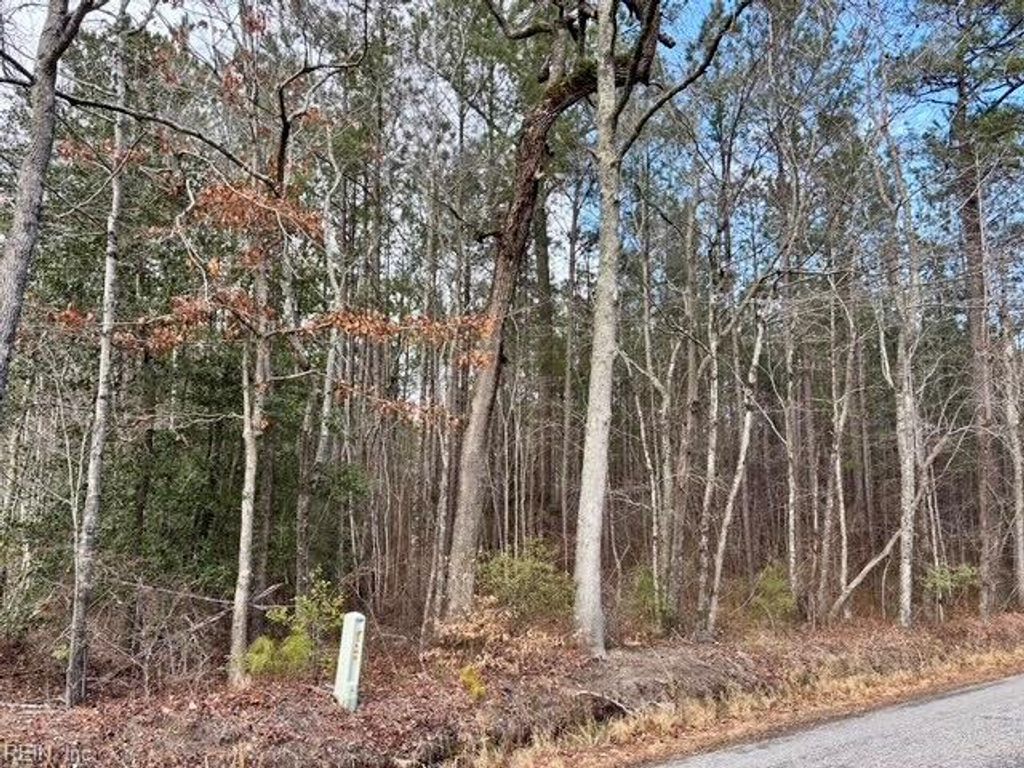Photo of 108 AC New &amp; Seacock Chapel Road, Ivor, VA 23866 (MLS # 10623584)