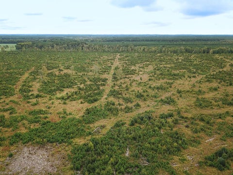 Photo for 193 Acres Saxis RD