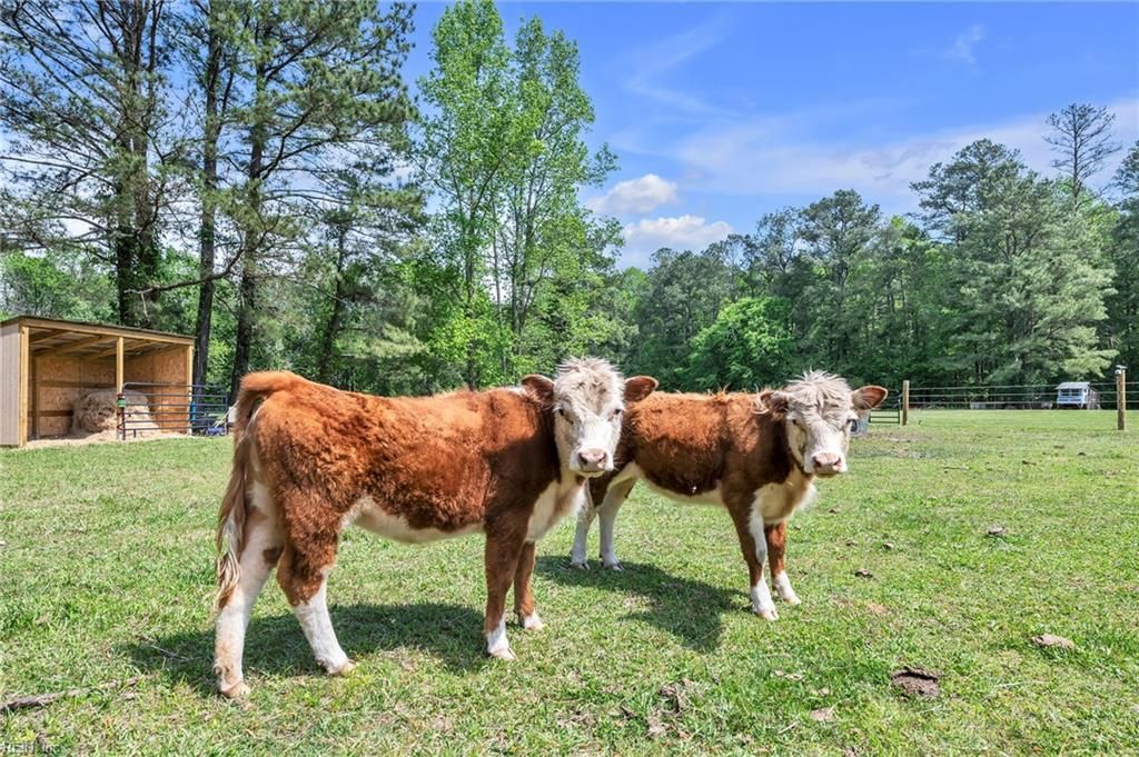 Photo of 2244 benefit Road, Chesapeake, VA 23322 (MLS # 10631960)