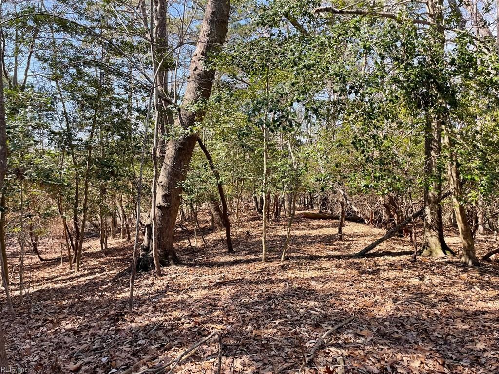 Photo of Lot129 Patriots Ridge Ridge, Carrollton, VA 23314 (MLS # 10624467)