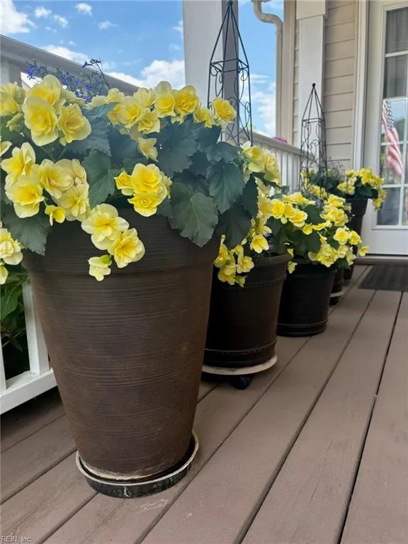 Norfolk, Virginia 23503, United States, 4 Bedrooms Bedrooms, ,3 BathroomsBathrooms,Residential,Active,9985